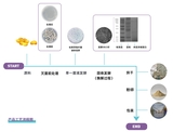 好氧探索纳豆浓缩蛋白NS50简介_page-0003.jpg