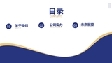 20240515城氏 公司简介_page-0002.jpg